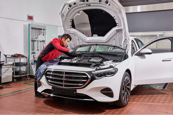 plant-campaign-works-service